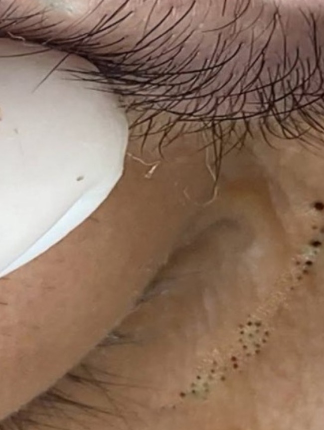 No One Gets Out Alive